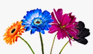 私たちについて